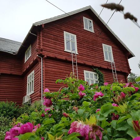 Haugtun Gardspensjonat Og Leiligheter Nordre Land Екстериор снимка