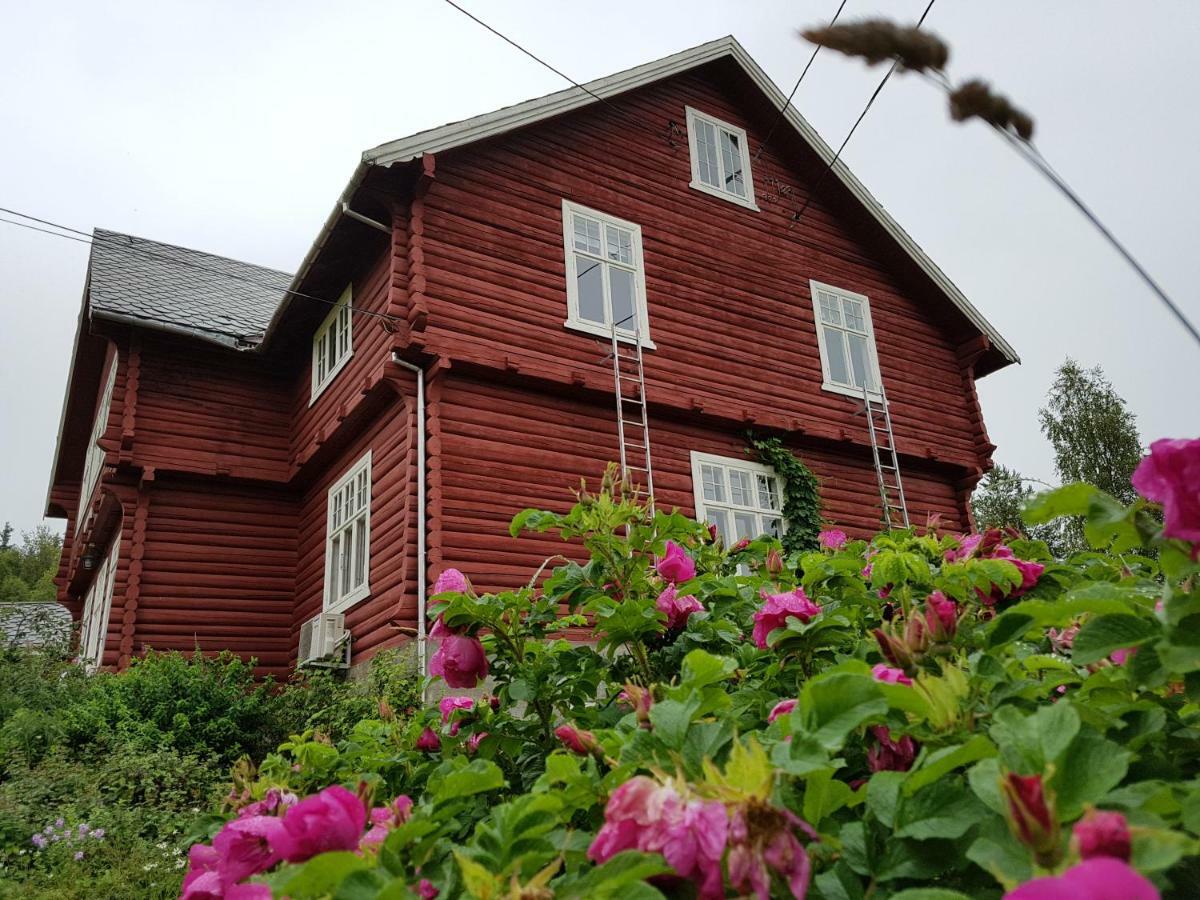 Haugtun Gardspensjonat Og Leiligheter Nordre Land Екстериор снимка